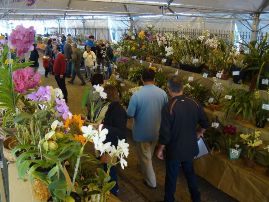 12ª Exposição Nacional de Orquídeas começa nesta sexta em Varginha